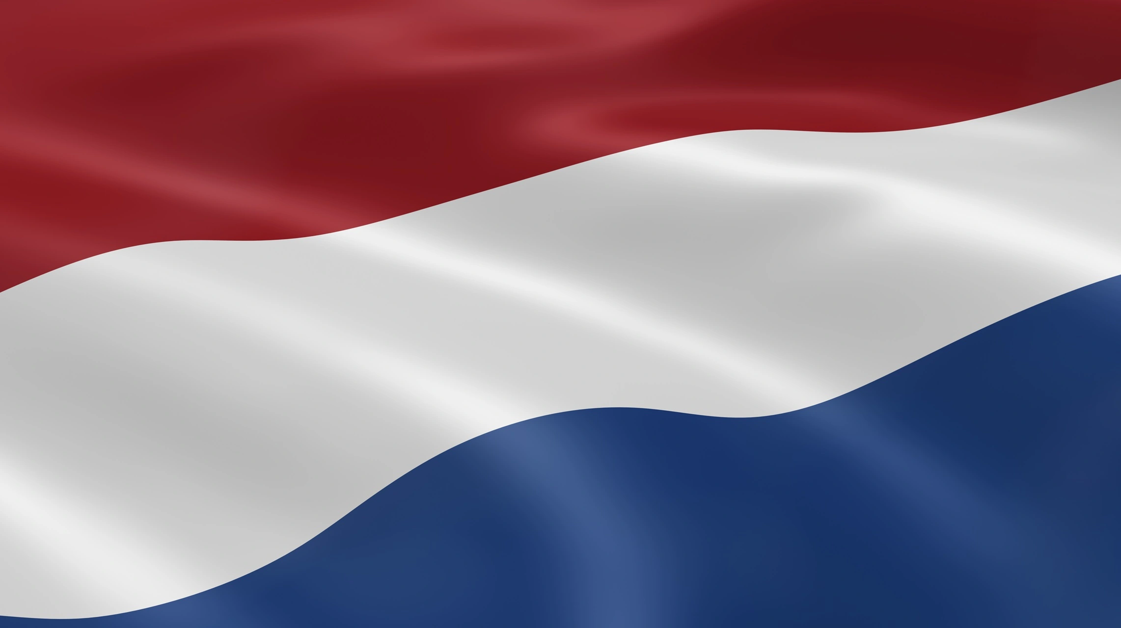 Dutch Language Courses